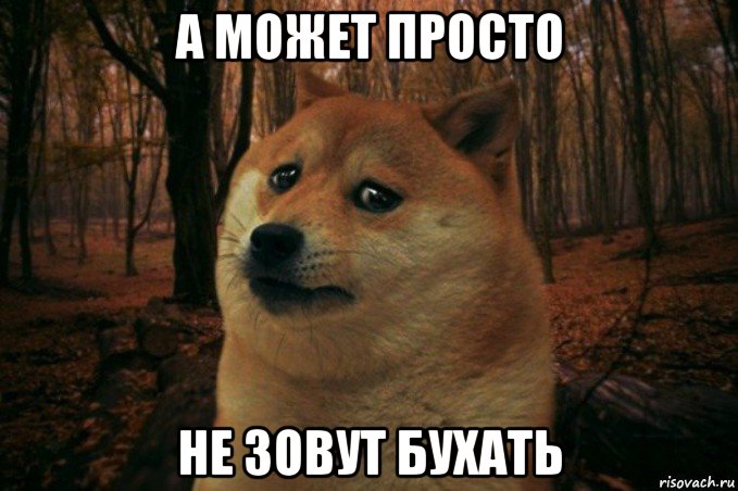 а может просто не зовут бухать, Мем SAD DOGE