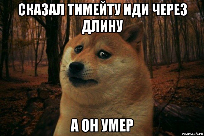 сказал тимейту иди через длину а он умер, Мем SAD DOGE