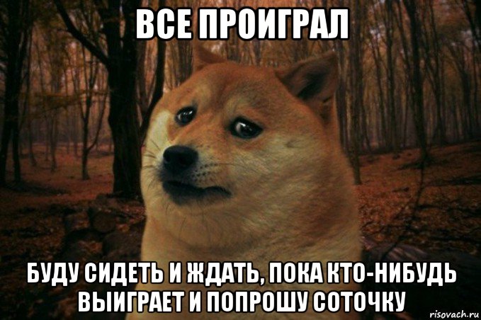 все проиграл буду сидеть и ждать, пока кто-нибудь выиграет и попрошу соточку, Мем SAD DOGE