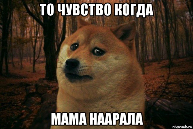 то чувство когда мама наарала, Мем SAD DOGE