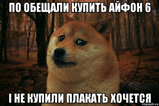 по обещали купить айфон 6 і не купили плакать хочется, Мем SAD DOGE