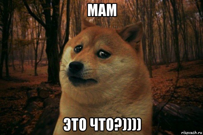 мам это что?)))), Мем SAD DOGE