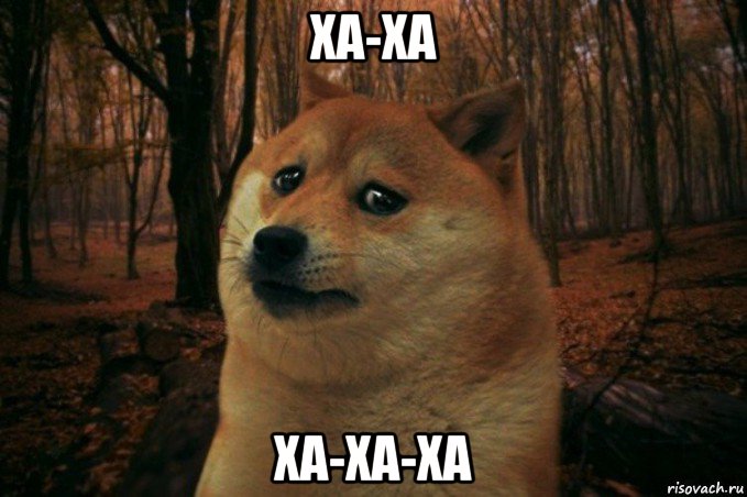 ха-ха ха-ха-ха, Мем SAD DOGE