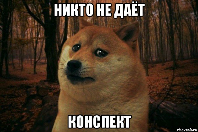 никто не даёт конспект, Мем SAD DOGE