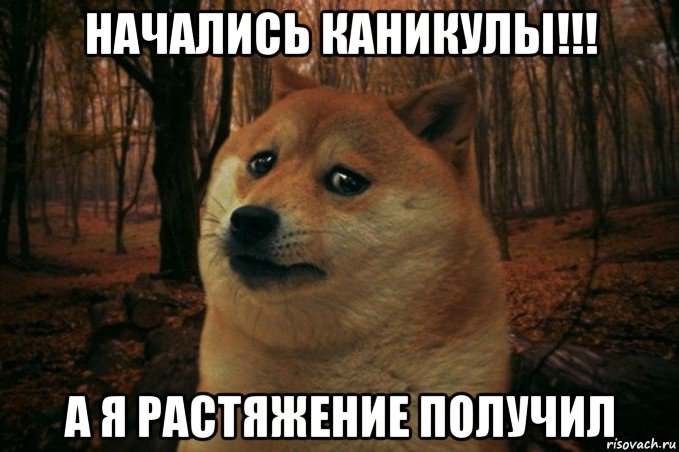 начались каникулы!!! а я растяжение получил, Мем SAD DOGE