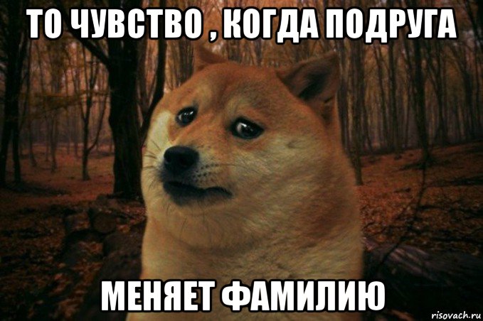 то чувство , когда подруга меняет фамилию, Мем SAD DOGE