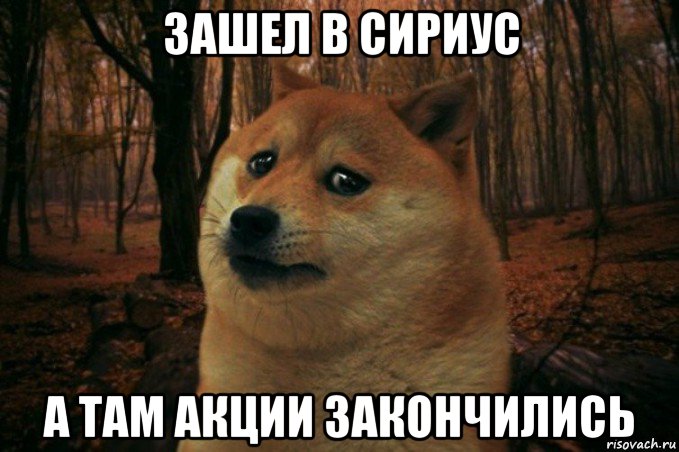 зашел в сириус а там акции закончились, Мем SAD DOGE