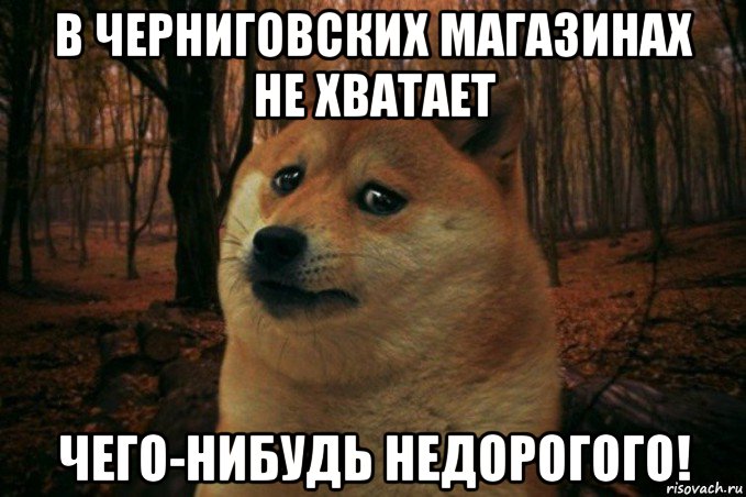 в черниговских магазинах не хватает чего-нибудь недорогого!, Мем SAD DOGE