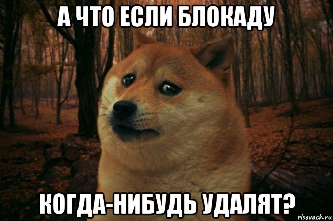 а что если блокаду когда-нибудь удалят?, Мем SAD DOGE