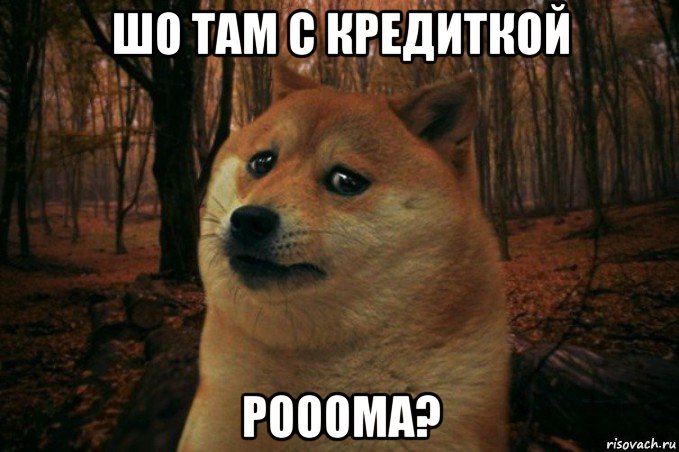 шо там с кредиткой рооома?, Мем SAD DOGE