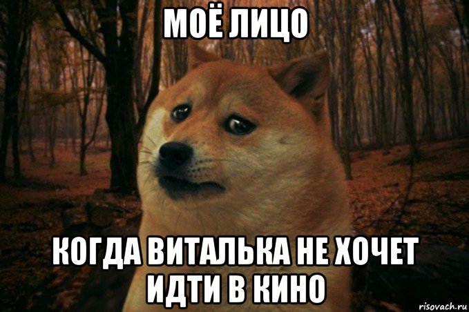 моё лицо когда виталька не хочет идти в кино, Мем SAD DOGE