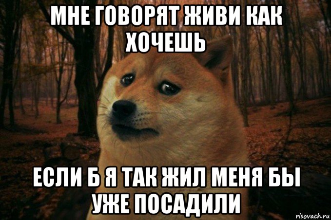 мне говорят живи как хочешь если б я так жил меня бы уже посадили, Мем SAD DOGE