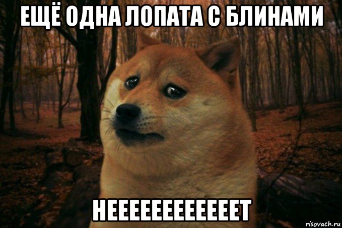 ещё одна лопата с блинами неееееееееееет, Мем SAD DOGE