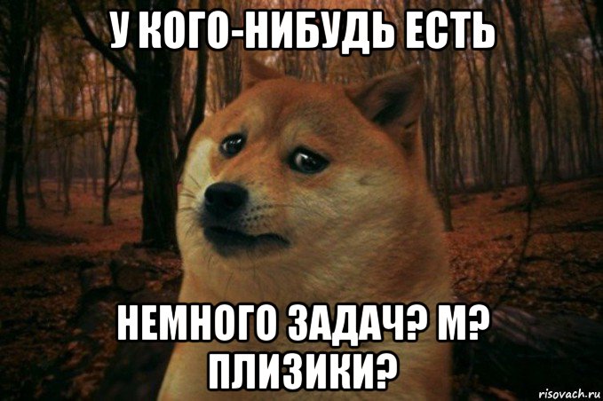 у кого-нибудь есть немного задач? м? плизики?, Мем SAD DOGE