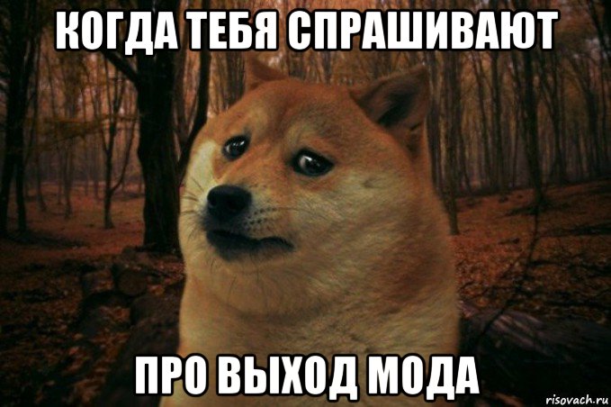 когда тебя спрашивают про выход мода, Мем SAD DOGE