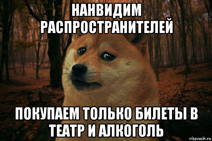 нанвидим распространителей покупаем только билеты в театр и алкоголь, Мем SAD DOGE