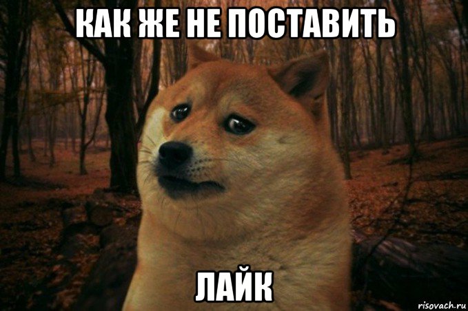 как же не поставить лайк, Мем SAD DOGE