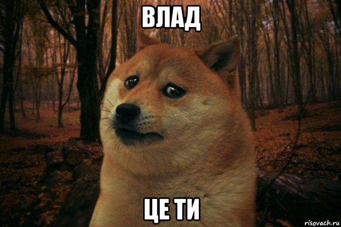 влад це ти, Мем SAD DOGE