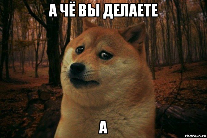 а чё вы делаете а, Мем SAD DOGE