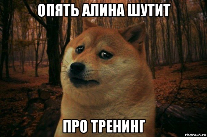 опять алина шутит про тренинг, Мем SAD DOGE