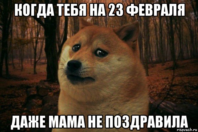 когда тебя на 23 февраля даже мама не поздравила, Мем SAD DOGE