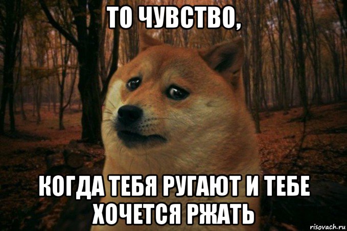 то чувство, когда тебя ругают и тебе хочется ржать, Мем SAD DOGE