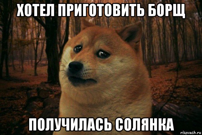 хотел приготовить борщ получилась солянка, Мем SAD DOGE