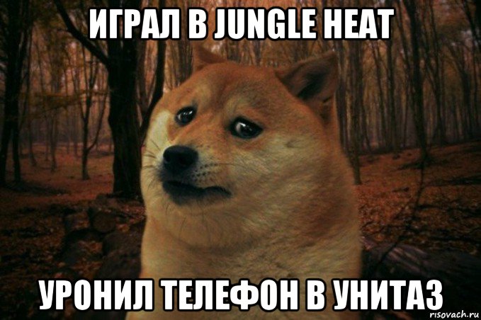 играл в jungle heat уронил телефон в унитаз, Мем SAD DOGE