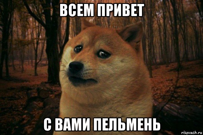 всем привет с вами пельмень, Мем SAD DOGE