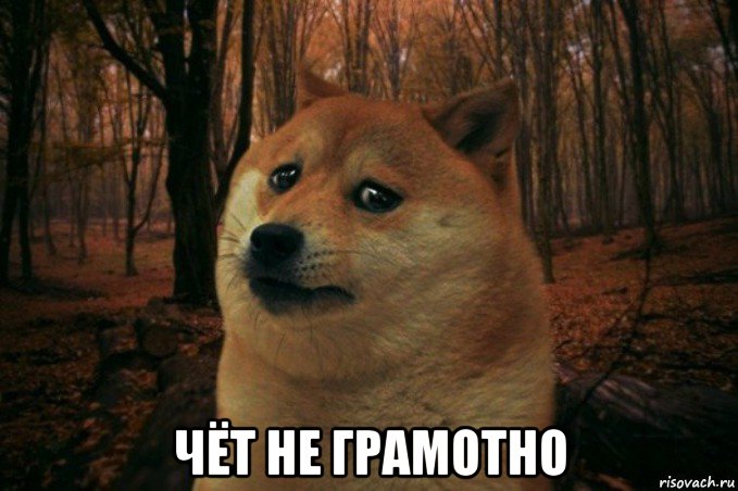  чёт не грамотно, Мем SAD DOGE