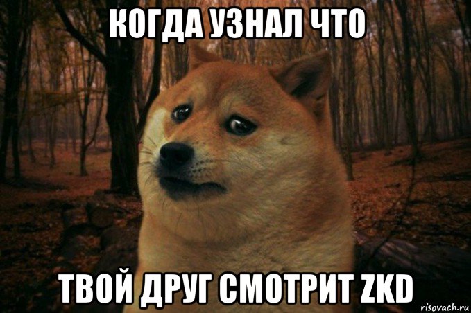 когда узнал что твой друг смотрит zkd, Мем SAD DOGE