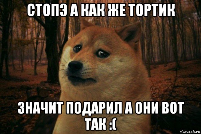 стопэ а как же тортик значит подарил а они вот так :(, Мем SAD DOGE