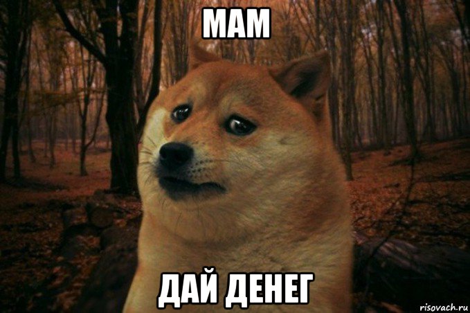 мам дай денег, Мем SAD DOGE