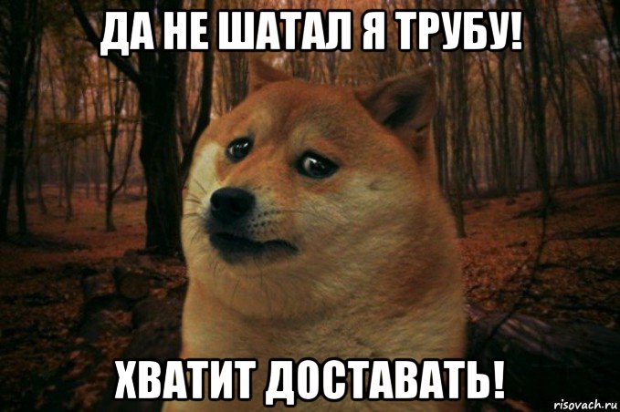 да не шатал я трубу! хватит доставать!, Мем SAD DOGE