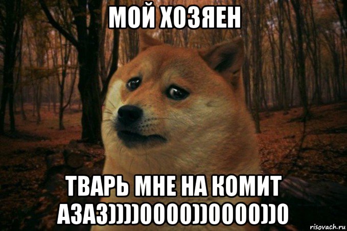 мой хозяен тварь мне на комит азаз))))0000))0000))0, Мем SAD DOGE