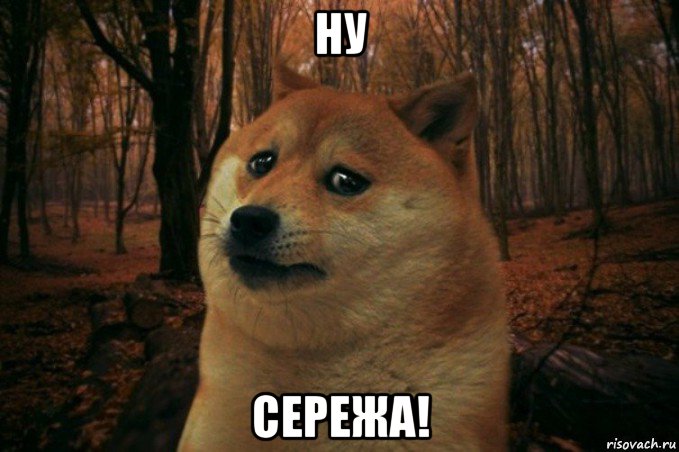 ну сережа!, Мем SAD DOGE