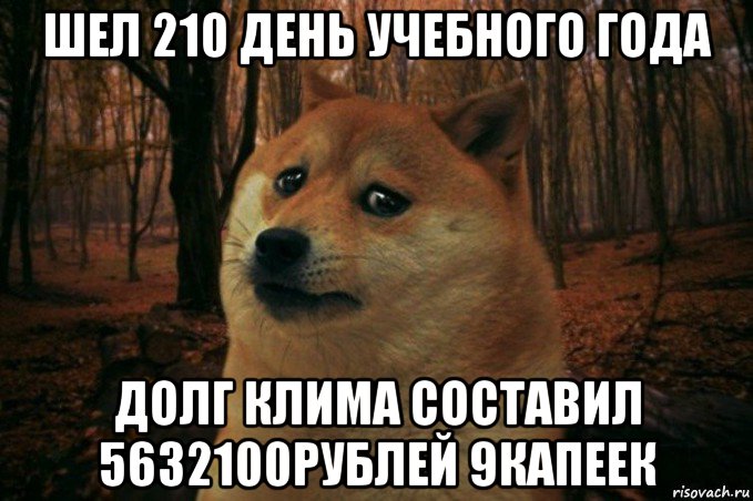 шел 210 день учебного года долг клима составил 5632100рублей 9капеек, Мем SAD DOGE