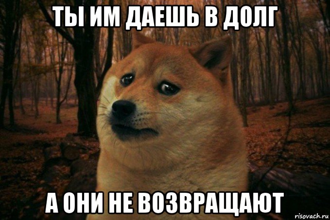 ты им даешь в долг а они не возвращают, Мем SAD DOGE