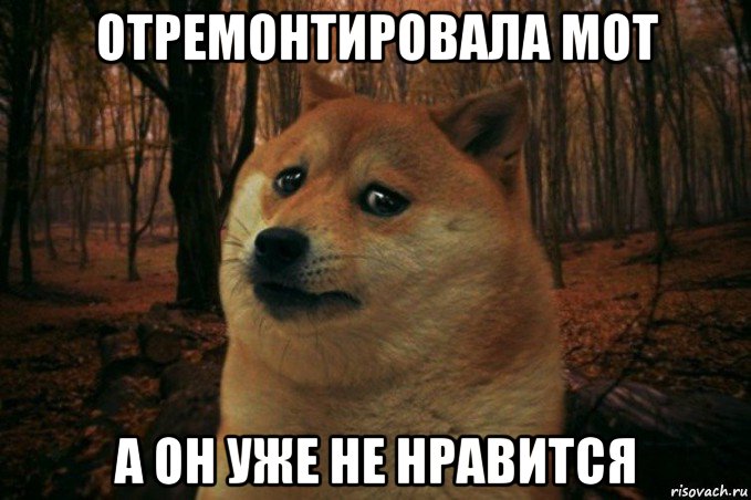 отремонтировала мот а он уже не нравится, Мем SAD DOGE