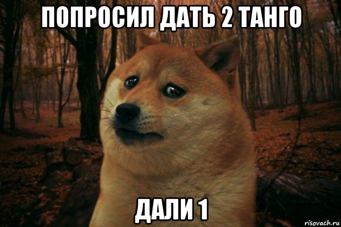 попросил дать 2 танго дали 1, Мем SAD DOGE