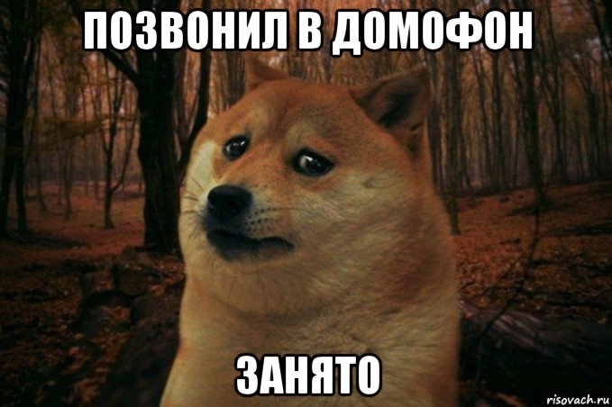 позвонил в домофон занято, Мем SAD DOGE