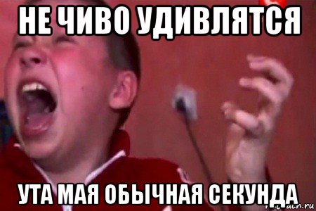 не чиво удивлятся ута мая обычная секунда