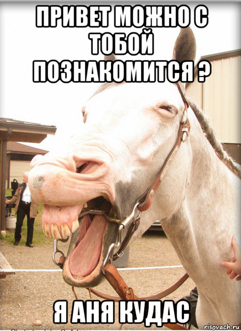 привет можно с тобой познакомится ? я аня кудас