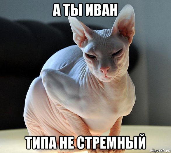 а ты иван типа не стремный