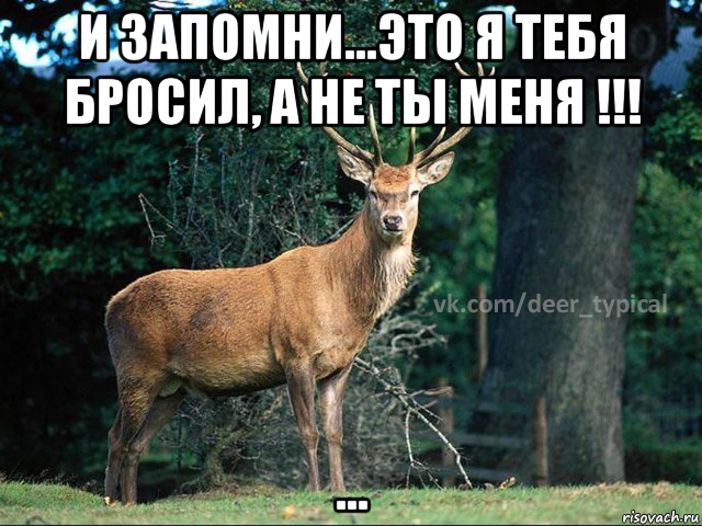 и запомни...это я тебя бросил, а не ты меня !!! ..., Мем Паблик Типичный олень