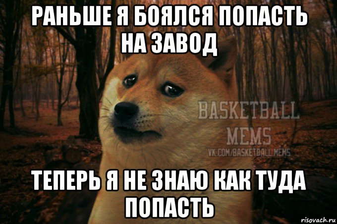 раньше я боялся попасть на завод теперь я не знаю как туда попасть, Мем Собака Basletball Mems