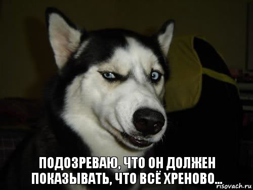 подозреваю, что он должен показывать, что всё хреново..., Комикс  Собака подозревака