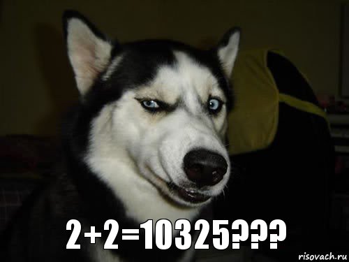 2+2=10325???, Комикс  Собака подозревака