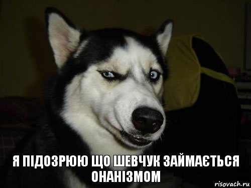 я підозрюю що Шевчук займається онанізмом, Комикс  Собака подозревака