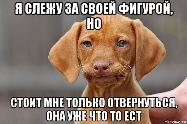 я слежу за своей фигурой, но стоит мне только отвернуться, она уже что то ест